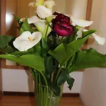Hotel Emma 3*