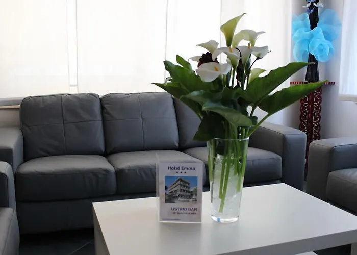 Emma Hotel Cattolica